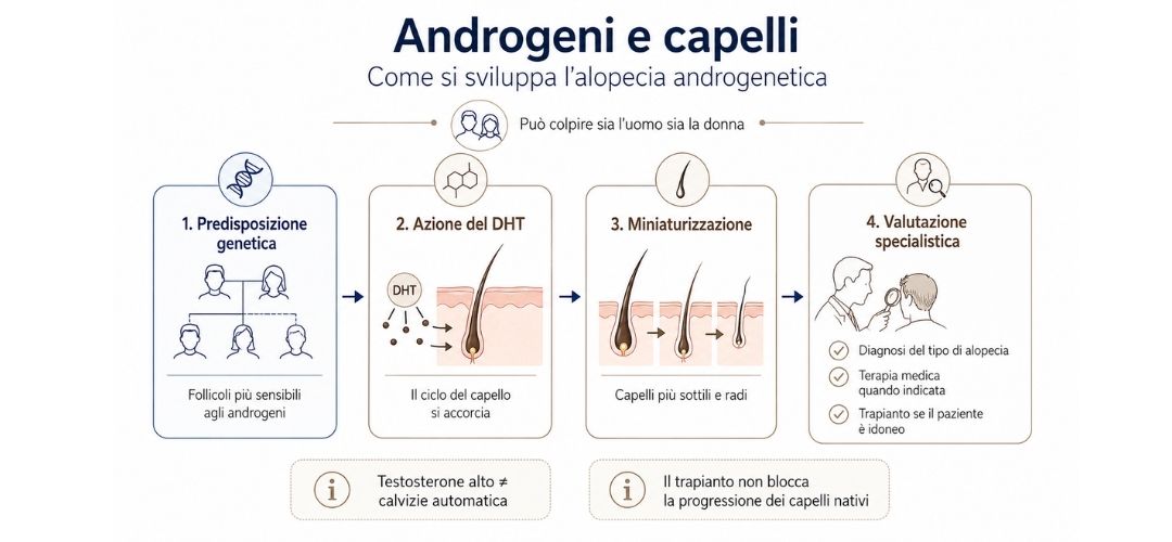androgeni capelli androgeni capelli