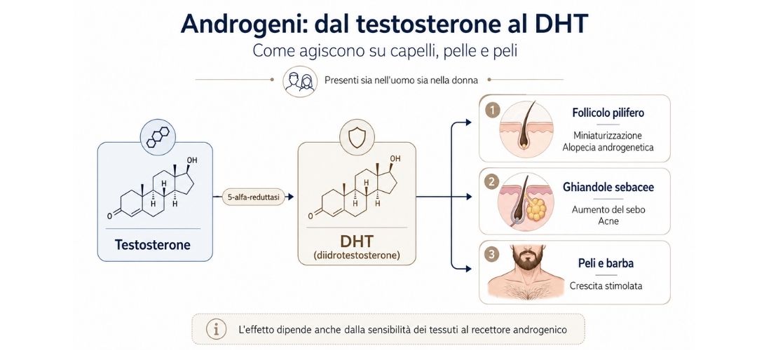 androgeni testosterone dht androgeni testosterone dht
