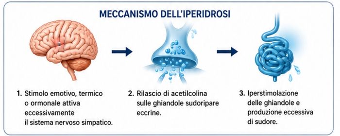 iperidrosi meccanismo della sudorazione eccessiva iperidrosi meccanismo della sudorazione eccessiva