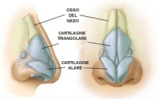 Rinoplastica – chirurgia del naso Rinoplastica - chirurgia del naso