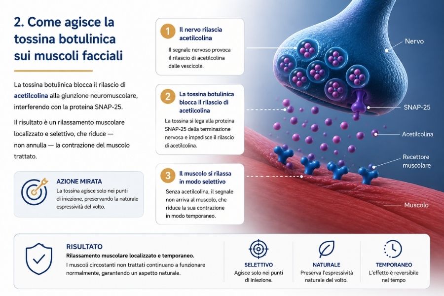 tossina botulinica come agisce