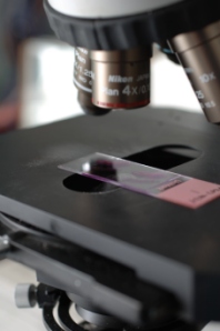 chirurgia estetica, chirurgia plastica, laser